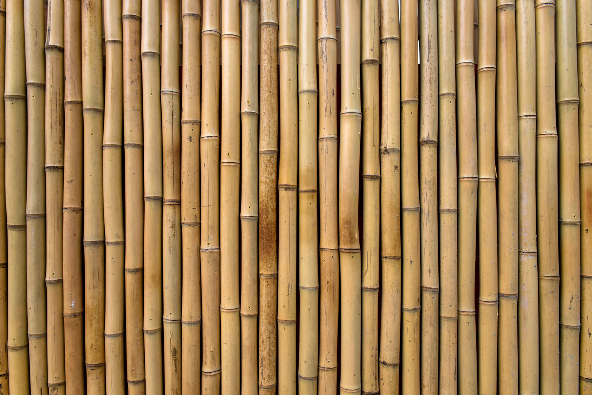 Construction_Innovation_Ideas_Bamboo_Neuroject