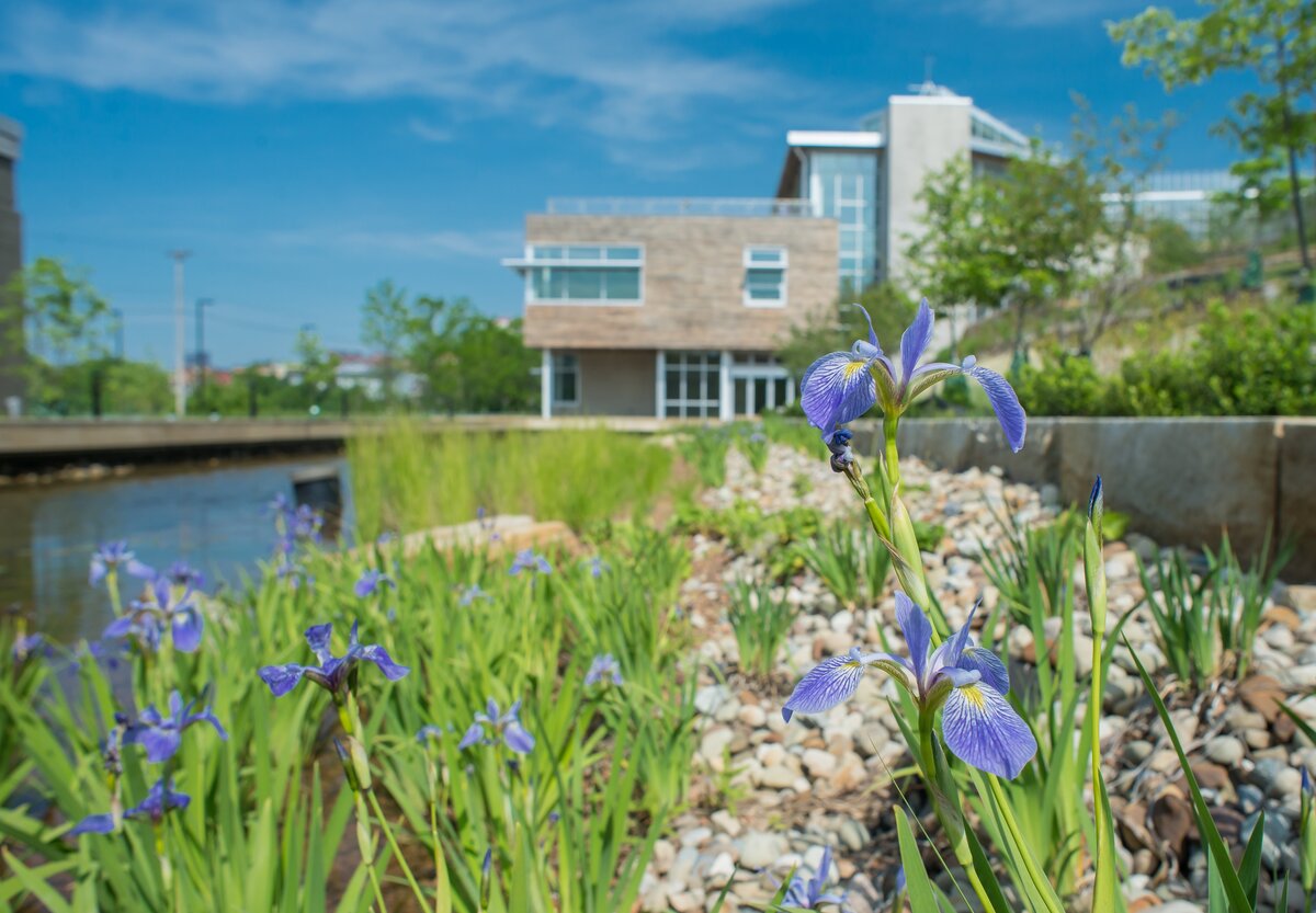 Discovering_the-Worlds_Top_21-Sustainable_Buildings_Phipps_Center_Neuroject_20.jpg