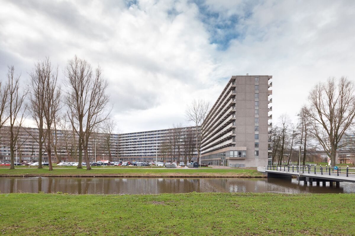 Construction-Project-in-Netherlands-Courtesy-Stijn-Poelstra