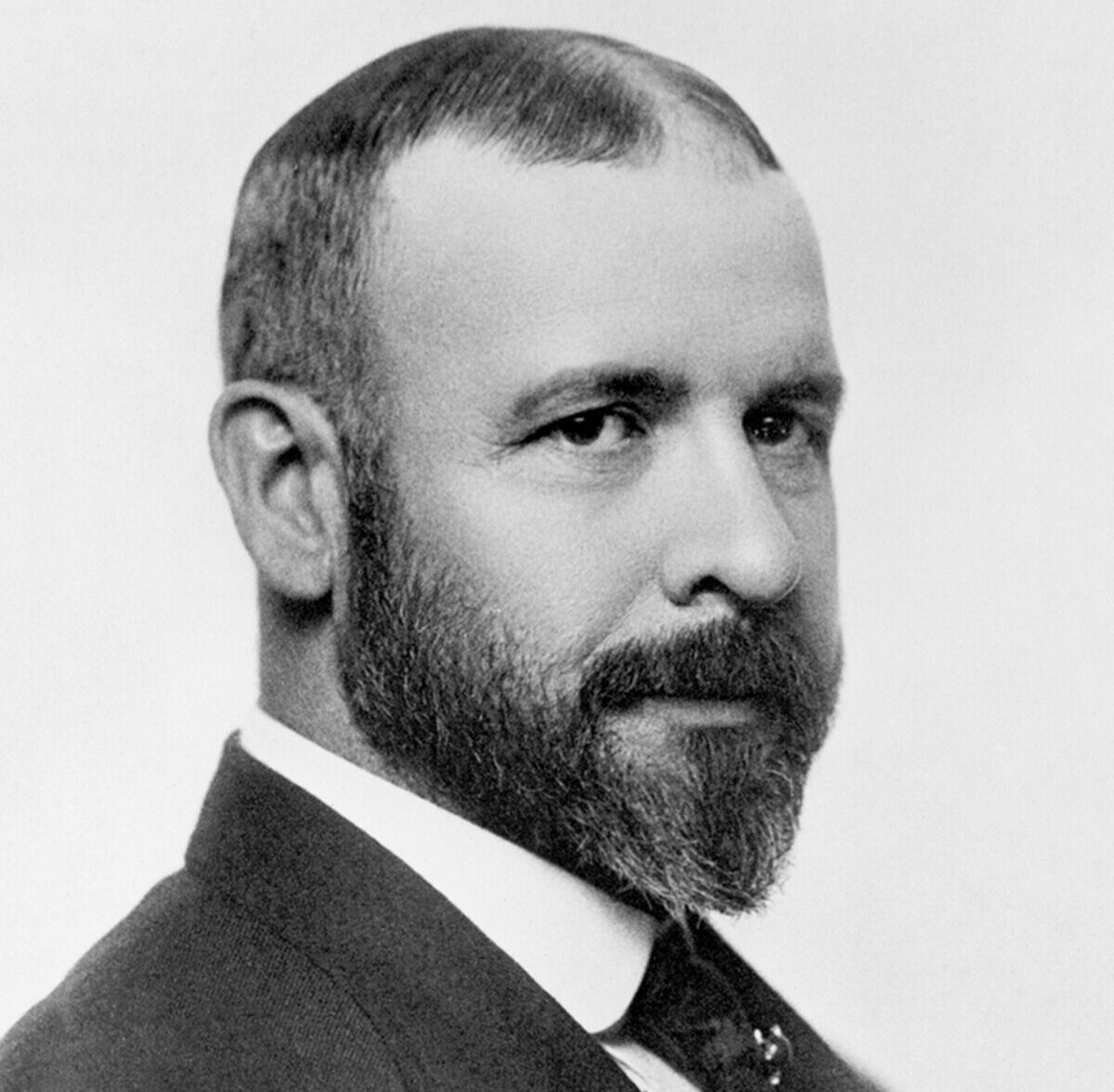 Louis-Sullivan-Neuroject