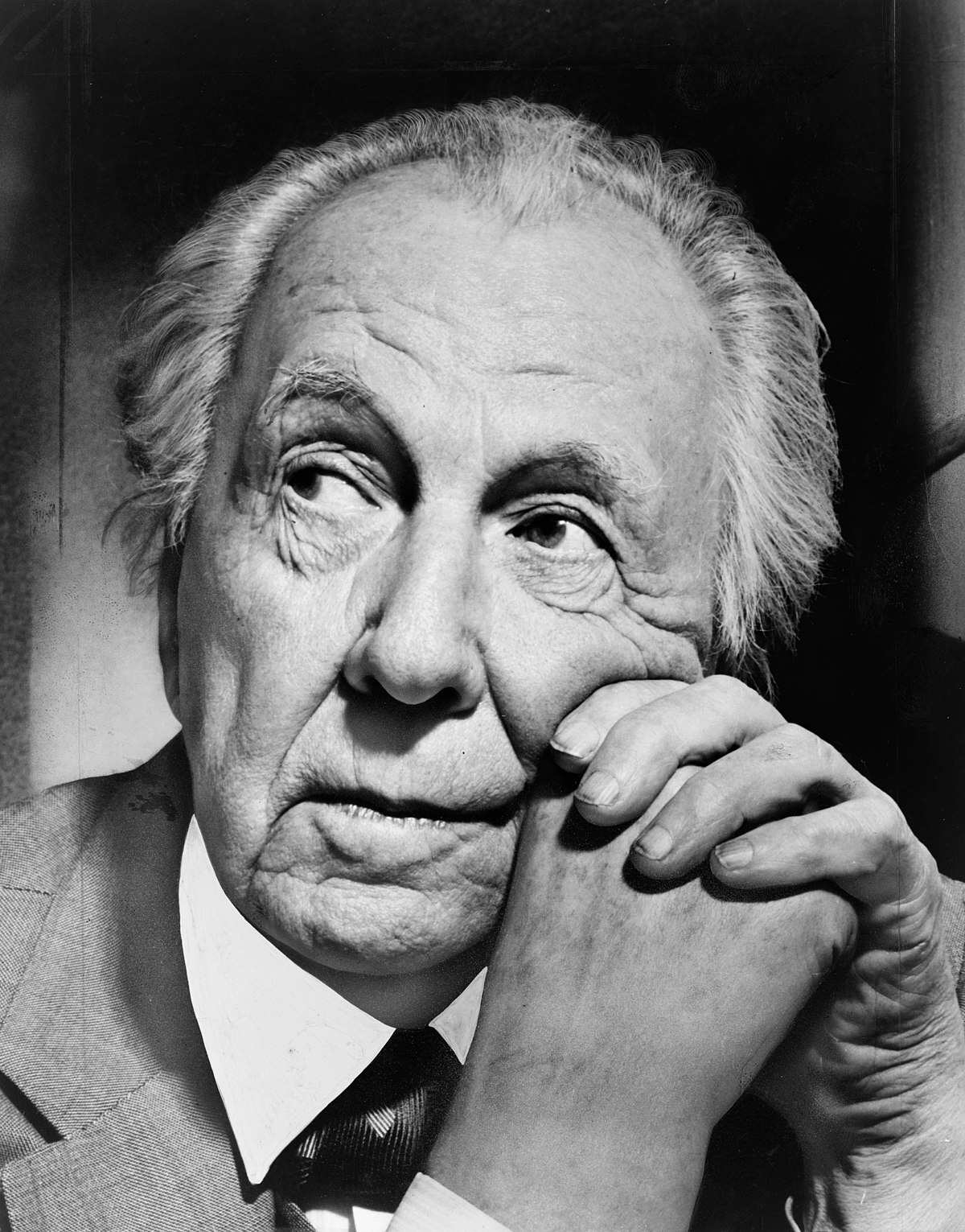 Frank-Lloyd-Wright-Neuroject